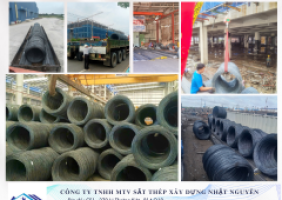 BÁO GIÁ THÉP CUỘN MỚI NHẤT